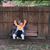 Kimberly P Jones's profile image