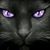 Karen Warner Lecesse's profile image