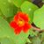 Tanya Ray's profile image