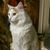 Debbie Sydow-Jennings's profile image
