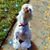 Jelka McClain Shearon's profile image