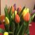 Bruna Carchedi's profile image