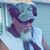 David Leal's profile image