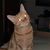 Linwood Riley's profile image