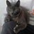 Topo Quiroz's profile image
