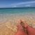 Nancy Foytich Minichiello's profile image