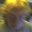 Jenny L's profile image