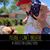 Patty Harris Wettern's profile image