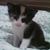 Belinda Scott's profile image