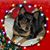 Jean Dennis Johnson's profile image