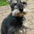 Judy Ayres's profile image