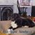 Pamela Joyce's profile image