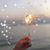 Julie Ricotta Gusmerotti's profile image