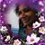 Marisol Amaro la Jefa's profile image