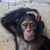 Kimm Gaillard's profile image