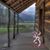 Amy Roxby's profile image