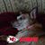 Lorri Calandra's profile image
