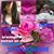 Anel Moreno's profile image