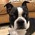 Toni Darnall's profile image