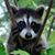 Patti Schwab's profile image