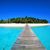 Tiffaney Lampson Clark's profile image