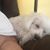 Judy Bohm-Kroencke's profile image