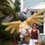 Maureen Mayssonnett's profile image