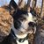 Melissa Messina's profile image