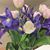 Joan Dockweiler Lund's profile image