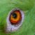 Keith Emmons's profile image