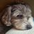 Laure Lubrico Rankin's profile image