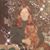 Linda Landstrom Blair's profile image