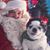 Todd Eiseman's profile image