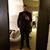 G Eduardo Orozco's profile image