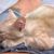 Serena Bacigalupo's profile image
