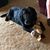 Cindy Geiger's profile image