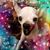 Clare McIntyre Hanscom's profile image
