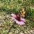 Robin Garrett's profile image