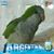 Beatriz Lupis's profile image