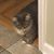 Stacie Locascio's profile image