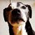 Shawn Bainbridge's profile image