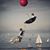 Hapi Macnaughton's profile image