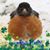Debbi Randolph Curl's profile image
