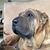 Derrick Wachs's profile image