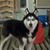 Kristy Mccloskey's profile image
