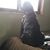 James M Dezack's profile image