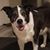 Tonya Scanlan's profile image