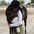 Kelly Maier's profile image