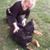 Jade Daniels's profile image