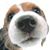 Robert N Jackson's profile image